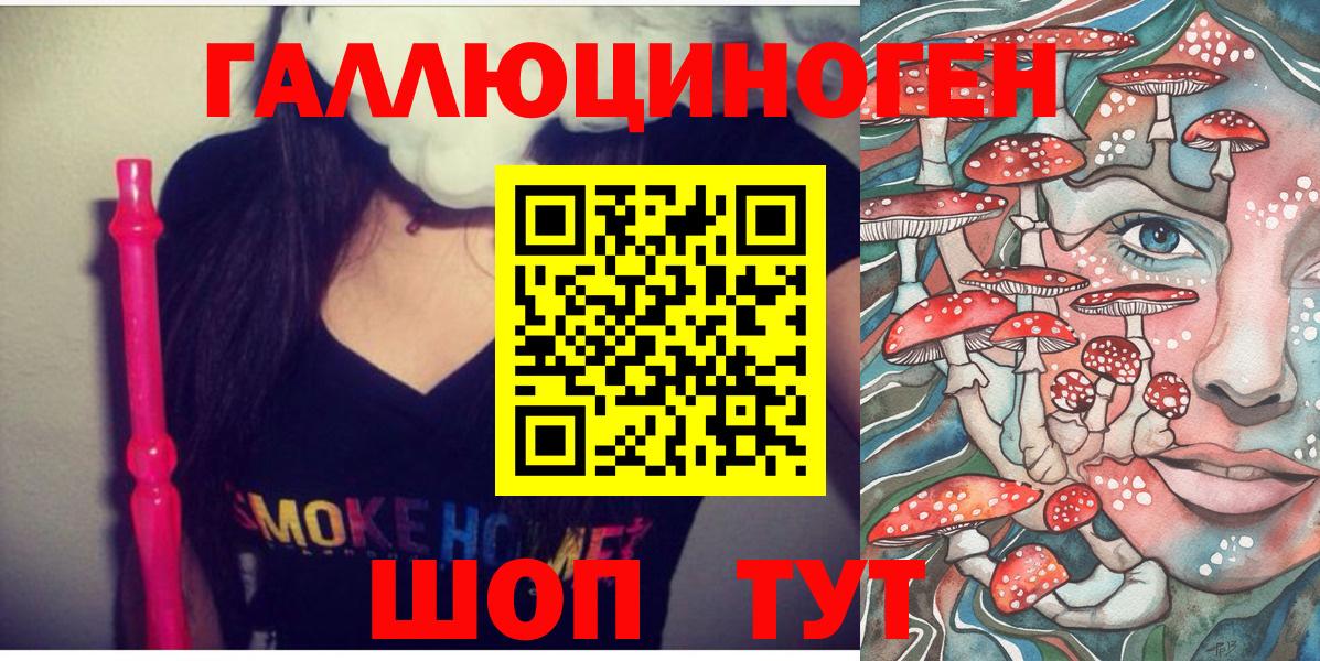 Галлюциногенные грибы Psilocybe  Вход с VPN  Карпинск 