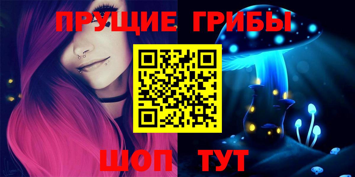 Псилоцибиновые грибы Psilocybe Карпинск